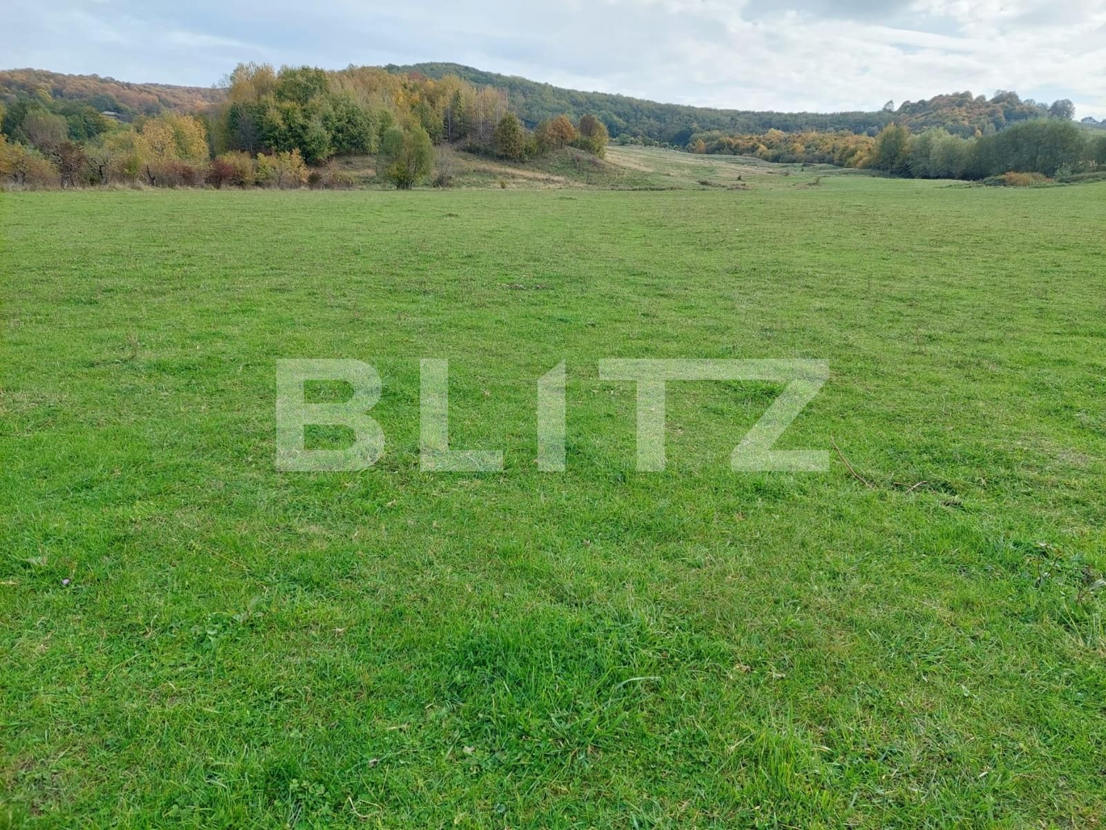 Teren de vânzare Curtea de Argeș - 100265TV | BLITZ Pitești | Poza2