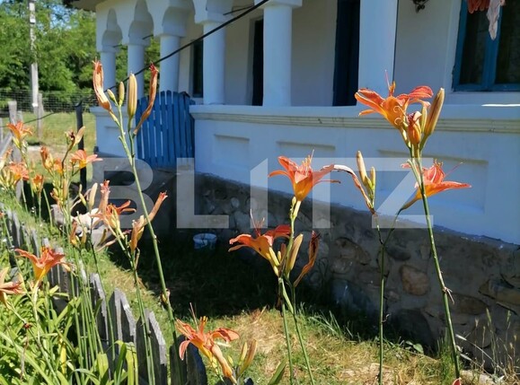 Casa de vânzare 2 camere Curtea de Argeș - 100594CV | BLITZ Pitești | Poza8