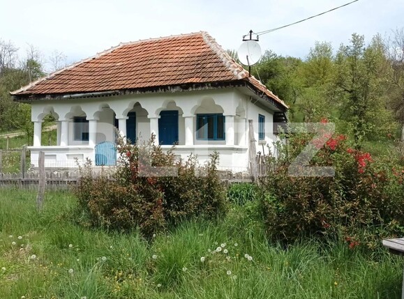 Casa de vânzare 2 camere Curtea de Argeș - 100594CV | BLITZ Pitești | Poza1