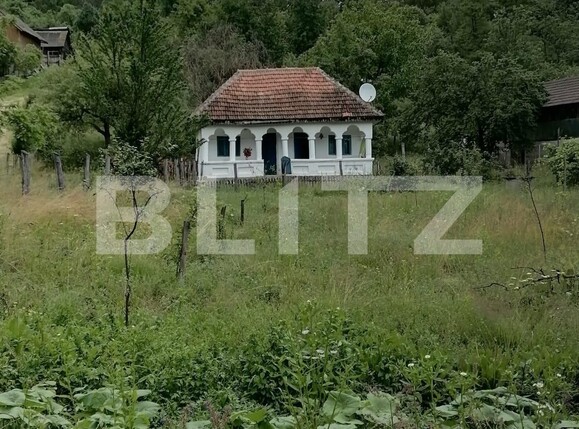 Casa de vânzare 2 camere Curtea de Argeș - 100594CV | BLITZ Pitești | Poza9