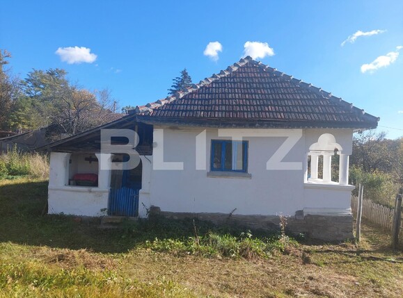 Casa de vânzare 2 camere Curtea de Argeș - 100594CV | BLITZ Pitești | Poza13