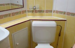 Apartament 3 camere, 73 mp, Eremia 