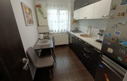 Apartament 3 camere, centrala termica, mobilat, zona Gavana 2