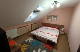 Apartament 3 camere, centrala termica, mobilat, zona Gavana 2