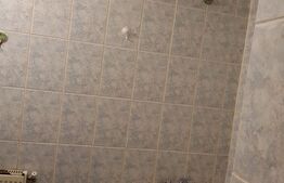 Apartamentul cu 2 camere, decomandat, 40 mp, Razboieni