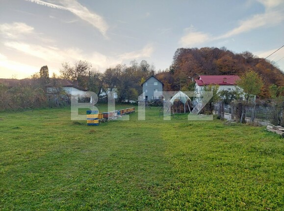 Teren de vânzare Curtea de Argeș - 101213TV | BLITZ Pitești | Poza1