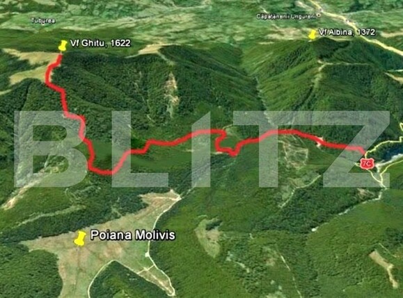 Teren de vânzare Curtea de Argeș - 101313TV | BLITZ Pitești | Poza3