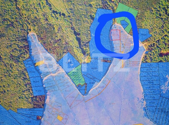 Teren de vânzare Curtea de Argeș - 101313TV | BLITZ Pitești | Poza2