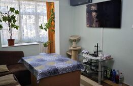 Apartament 2 camere, etaj intermediar, zona Traian