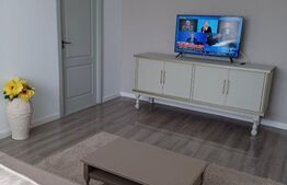 Apartament 2 camere, marșatei teilor , 50 mp