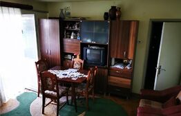 Apartament 2 camere, 48 mp, Craiovei 