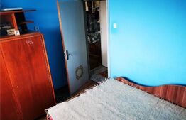 Apartament 2 camere, 48 mp, Craiovei 