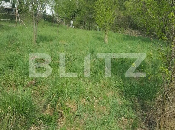 Teren de vânzare Curtea de Argeș - 104483TV | BLITZ Pitești | Poza1