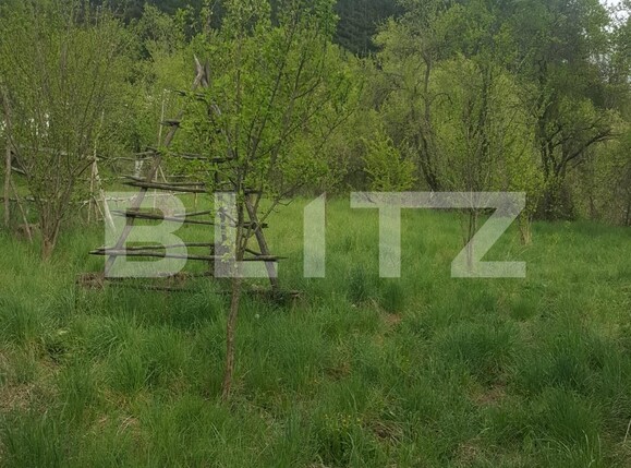 Teren de vânzare Curtea de Argeș - 104483TV | BLITZ Pitești | Poza3
