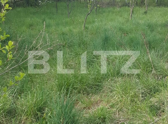 Teren de vânzare Curtea de Argeș - 104483TV | BLITZ Pitești | Poza4