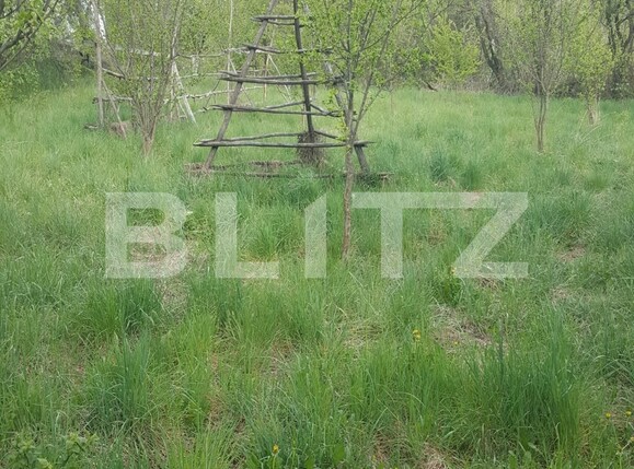 Teren de vânzare Curtea de Argeș - 104483TV | BLITZ Pitești | Poza2