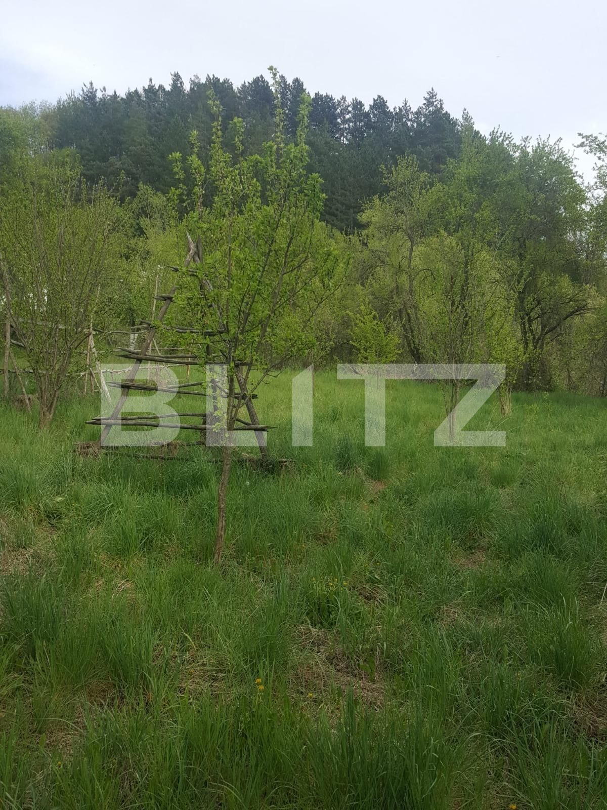 Teren de vânzare Curtea de Argeș - 104483TV | BLITZ Pitești | Poza3