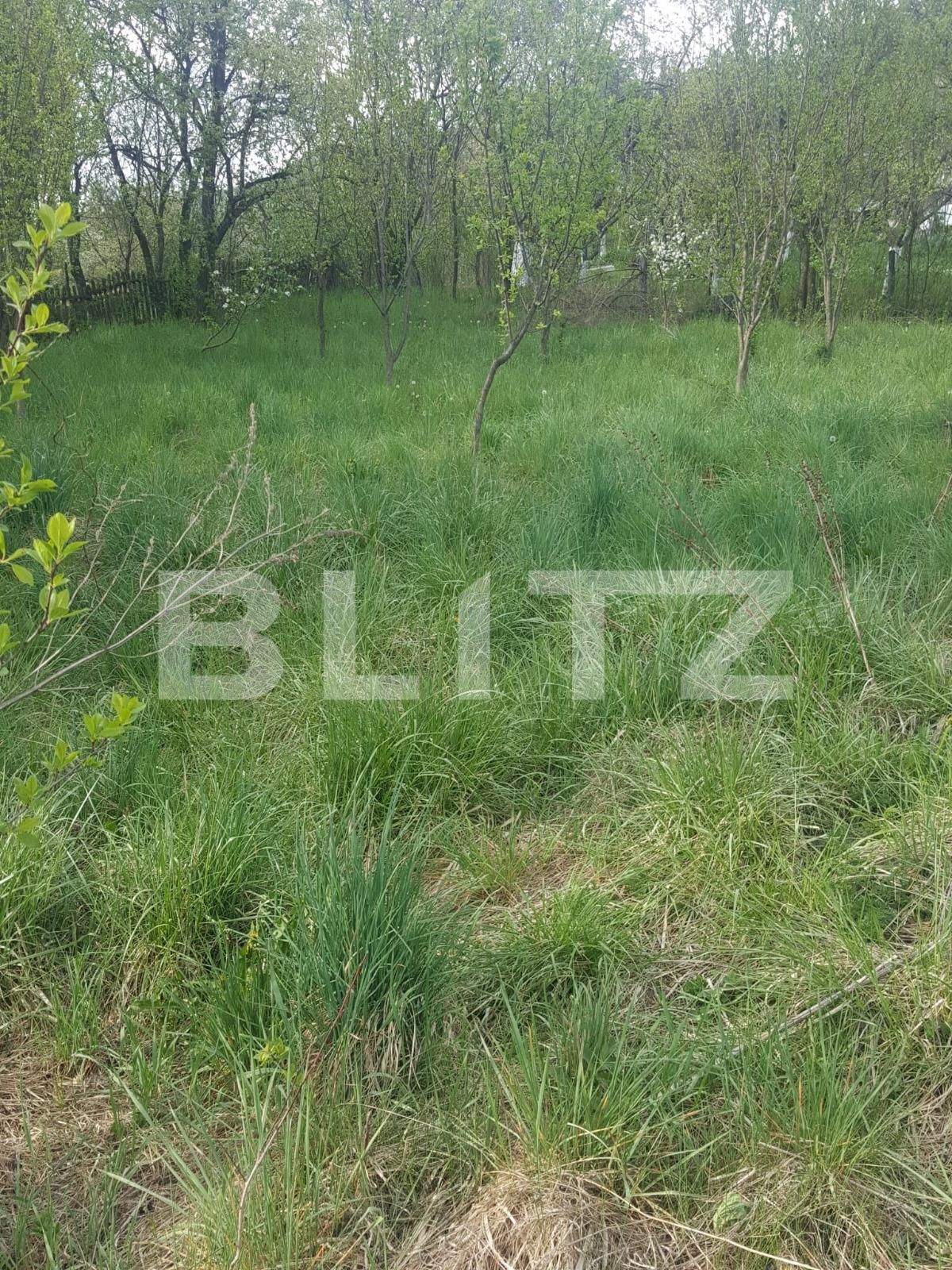 Teren de vânzare Curtea de Argeș - 104483TV | BLITZ Pitești | Poza4