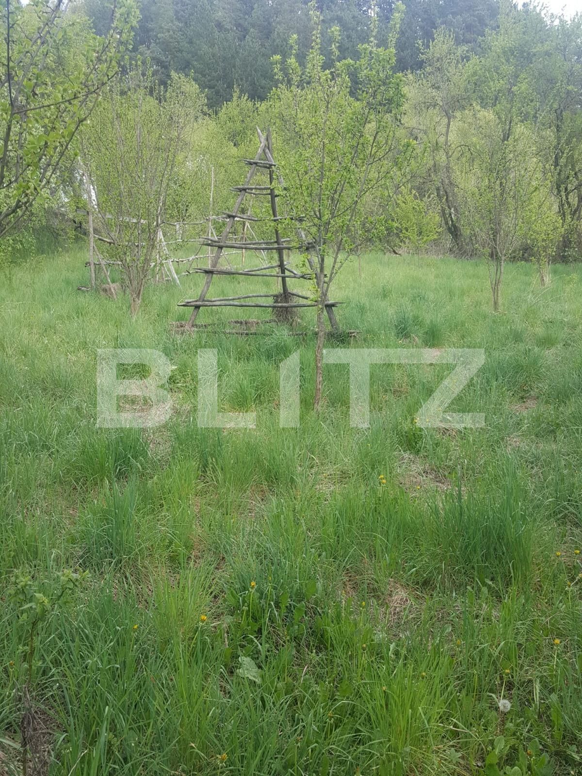 Teren de vânzare Curtea de Argeș - 104483TV | BLITZ Pitești | Poza2