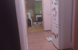 Apartament 2 camere, 46 mp, mansarda, Exercițiu