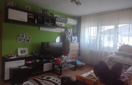 Apartament 2 camere, 46 mp, mansarda, Exercițiu