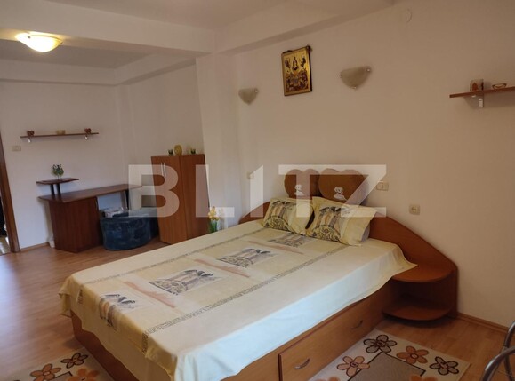 Apartament de vânzare 2 camere Banat - 105822AV | BLITZ Pitești | Poza3