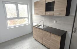Apartament 2 Camere, etaj intermediar, 45mp, Teilor Marasesti