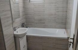 Apartament 2 Camere, etaj intermediar, 45mp, Teilor Marasesti
