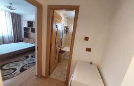 Apartament de vanzare2 camere, Curtea de Arges