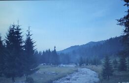 Teren de vanzare, 500 mp, Valea Valsanului