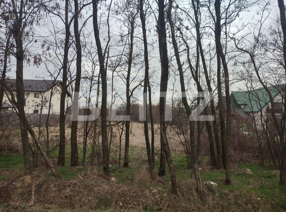 Teren de vânzare Smeura - 111412TV | BLITZ Pitești | Poza3