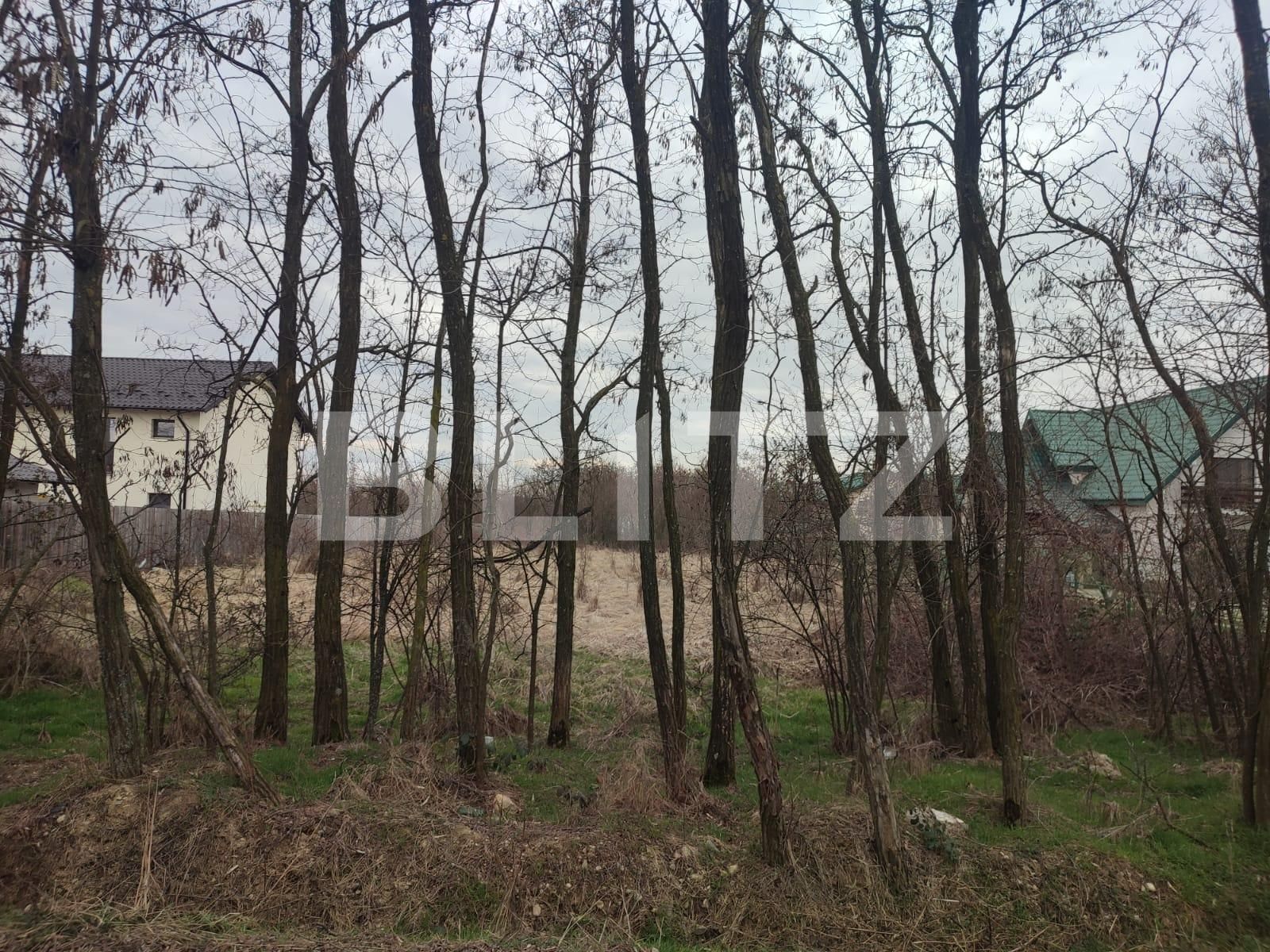 Teren de vânzare Smeura - 111412TV | BLITZ Pitești | Poza3