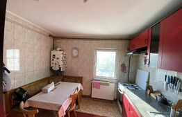 Apartament cu 4 camere, 93mp, Prundu