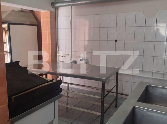 Spațiu comercial de închiriat Teilor - 112828SIC | BLITZ Pitești | Poza3