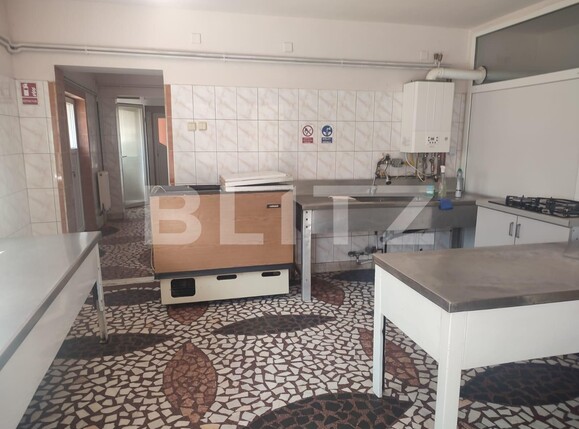 Spațiu comercial de închiriat Teilor - 112828SIC | BLITZ Pitești | Poza8