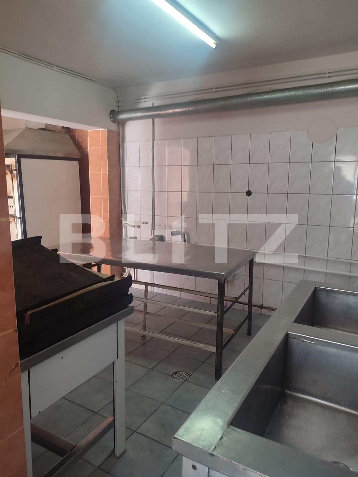 Spațiu comercial de închiriat Teilor - 112828SIC | BLITZ Pitești | Poza3