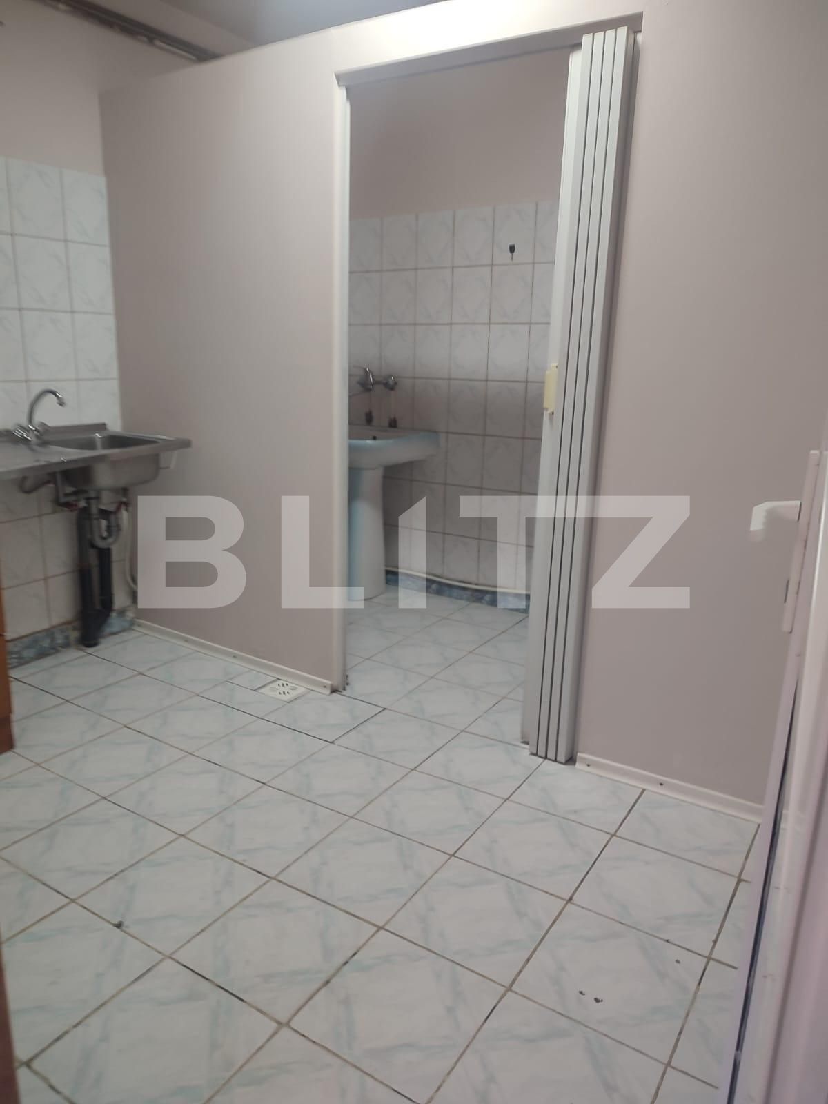 Spațiu comercial de închiriat Teilor - 112828SIC | BLITZ Pitești | Poza9