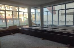 Proprietate pretabila pentru investitie, 12 camere, 750 mp, Pitesti