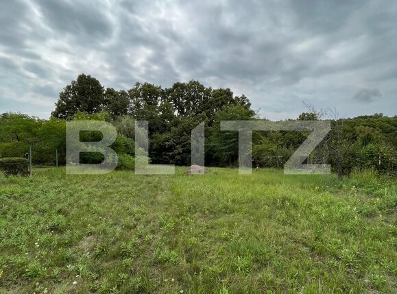 Casa de vânzare 3 camere Gavana - 113543CV | BLITZ Pitești | Poza13