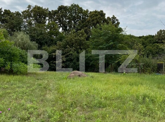 Casa de vânzare 3 camere Gavana - 113543CV | BLITZ Pitești | Poza6