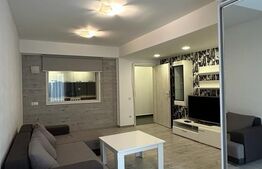 Apartament 2 camere,  zona Prundu-Craiovei