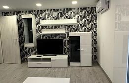 Apartament 2 camere,  zona Prundu-Craiovei