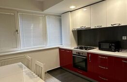 Apartament 2 camere,  zona Prundu-Craiovei