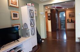 Apartament de vanzare, 285 mp, Pitesti