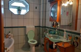 Apartament de vanzare, 285 mp, Pitesti