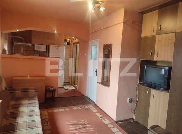 Apartament de vânzare 2 camere Teilor - 116890AV | BLITZ Pitești | Poza1