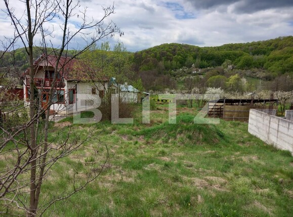 Teren de vânzare Bascov - 119125TV | BLITZ Pitești | Poza2