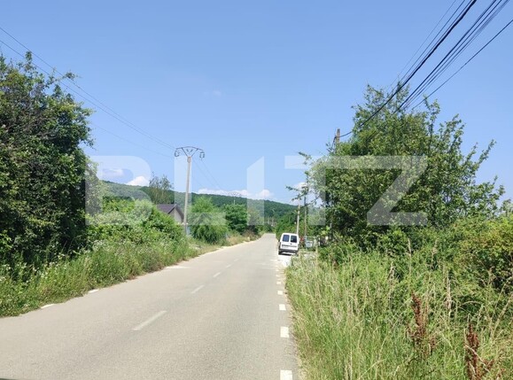 Teren de vânzare Smeura - 119754TV | BLITZ Pitești | Poza3