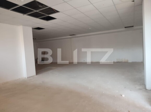 Spațiu comercial de vânzare Gavana 3 - 121717SVC | BLITZ Pitești | Poza11