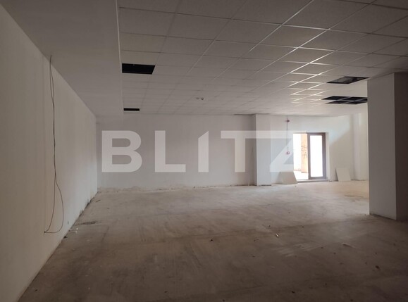 Spațiu comercial de vânzare Gavana 3 - 121717SVC | BLITZ Pitești | Poza8